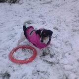 Foto van Kaatje en Hailey (Speedy† Tessa†)