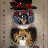 Kerstgroet.