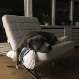 Zzzzzzz