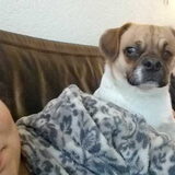 Foto van Nori met Chewy, Ayla, Leiah & Mace