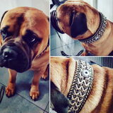 Foto van Fudge, Chunky, Maylo † & Ziko † en baasje Laura