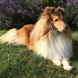 Foto van claudia