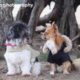 Foto van Lisa; Bobbie, Bentley & Lilly