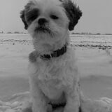 kyra in de sneeuw