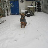 Foto van yooop