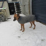 Foto van yooop