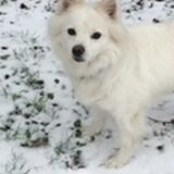 Foto van anja met Bobby(r.i.p. 25-9-25)