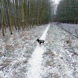 Balou heeft genoten van de sneeuw.