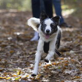 Foto van Angelique; Bruno, Charlie & Fenna