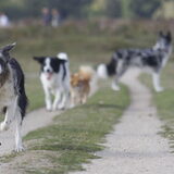 Foto van Angelique; Bruno, Charlie & Fenna