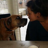 Mijn eerste hond Kayra, we missen je