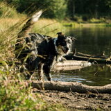 Foto van Angelique, Kleine Maybe en Tess <3