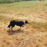 Foto van Angelique, Kleine Maybe en Tess <3