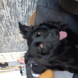 Foto van Raya