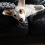Foto van Lilylover