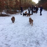 Foto van Marijke - Aila, Dinja & Evi