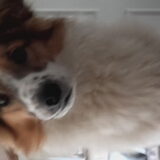 Foto van Yvonne en Tommy Boy