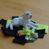 't kleintje heeft ook een snuffelmat gekregen