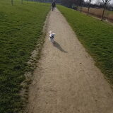 Foto van Lucia, Lizzy & Ziva