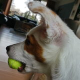 Foto van Lilylover