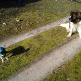 Foto van Coby & Wanda en Mathilde