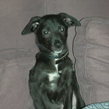 Foto van Barend