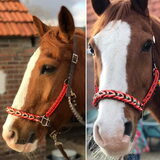 Foto van Fudge, Chunky, Maylo † & Ziko † en baasje Laura