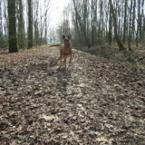 Foto van yooop