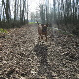 Foto van yooop