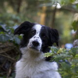 Foto van Angelique; Bruno, Charlie & Fenna