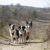 Foto van Angelique; Bruno, Charlie & Fenna