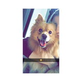 Smile!