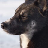 winter 2009