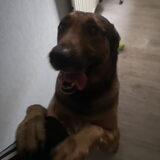 Foto van Rosanja