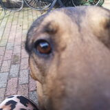 Foto van Rosanja