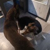 Foto van Rosanja