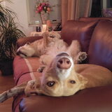 Foto van Anita