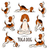 Yoga dogs.