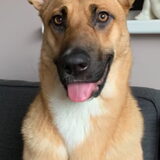 Lucy 1 jaar oud 28.02.19