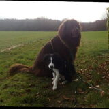Foto van Jeanine :)