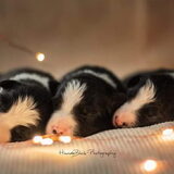 Foto van Angelique, Kleine Maybe en Tess <3