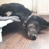 Foto van Naomi
