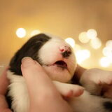 Foto van Angelique, Kleine Maybe en Tess <3