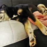 Foto van lyanne