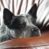 Foto van fabienne