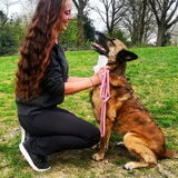 Foto van Dutchshepherdteam