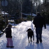 honden speel plaats