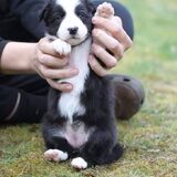 Foto van Angelique, Kleine Maybe en Tess <3