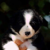 Foto van Angelique, Kleine Maybe en Tess <3