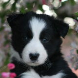 Foto van Angelique, Kleine Maybe en Tess <3